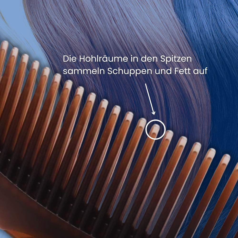 HoloKamm